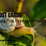 Post Cards: Snail Mail Positive Sprinkles