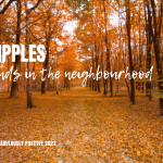 Ripples: Finds in the Neighbourhood
