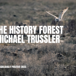 The History Forest By: Michael Trussler