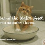 The War of the Water Bowl