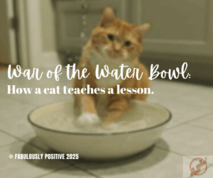 The War of the Water Bowl